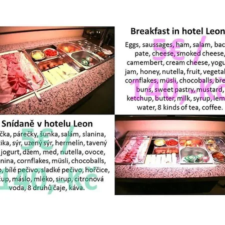 Hotel Leon Praga