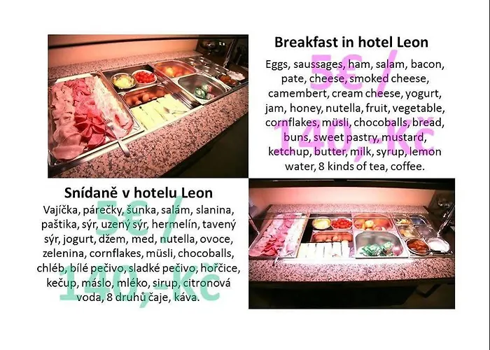 Hotel Leon Praga